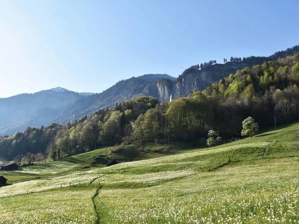 Sentier de randonnée au départ de Brienz en direction de Gampeli - Milibach - Planalp
