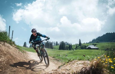 Downhillbiker auf der Route Old T-Bar