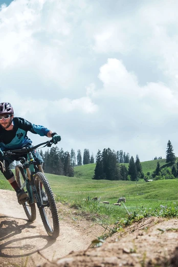 Downhillbiker auf der Route Old T-Bar