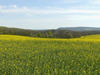 Aussicht zur östlichen Hainleite