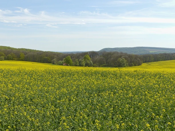 Aussicht zur östlichen Hainleite