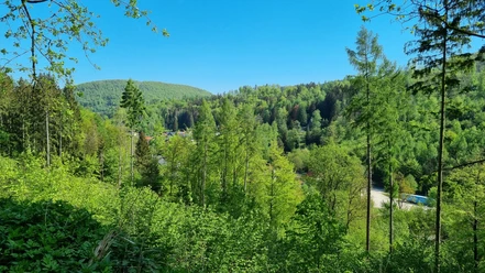 Ausblick vom Knollenweg in Bad Grund