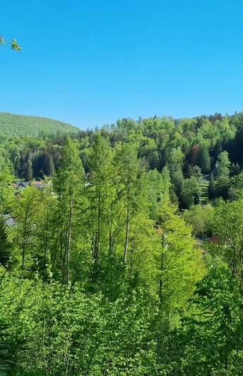Ausblick vom Knollenweg in Bad Grund