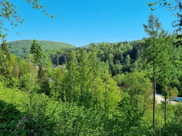 Ausblick vom Knollenweg in Bad Grund