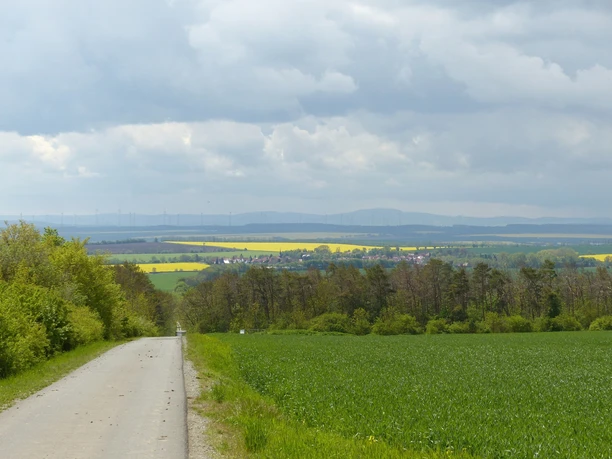 Ausblick von den Heilinger Höhen zum Großen Inselsberg