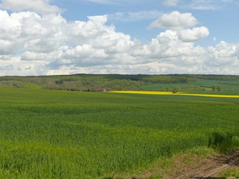 Die Landschaft in den Heilinger Höhen.