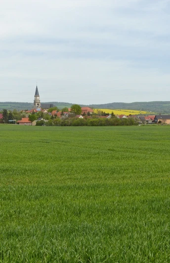 Eingebettet in der Goldenen Aue liegt Berga.