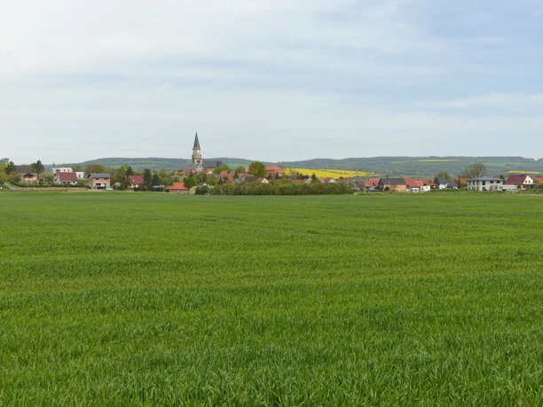 Eingebettet in der Goldenen Aue liegt Berga.