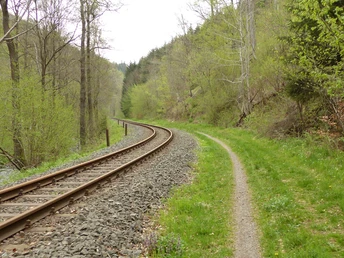 Im Bereich Netzkater verläuft die Strecke neben der Harzer Schmalspurbahn.
