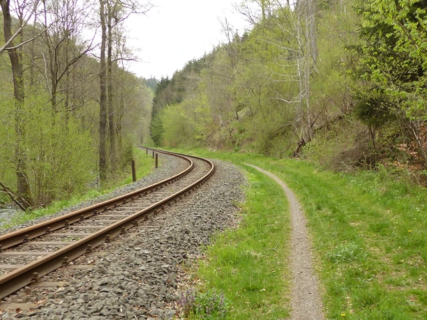 Im Bereich Netzkater verläuft die Strecke neben der Harzer Schmalspurbahn.