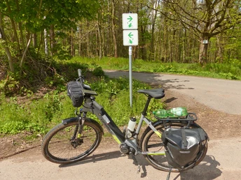 Am Harz führt die Etappe stellenweise über den ausgeschilderten Harzrundweg.