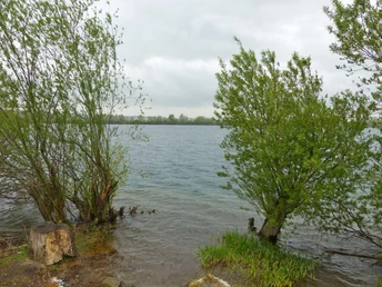 Der Möwensee bei Bielen.