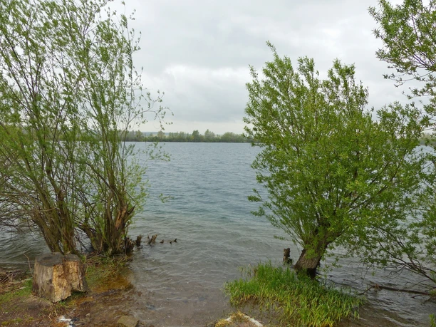 Der Möwensee bei Bielen.