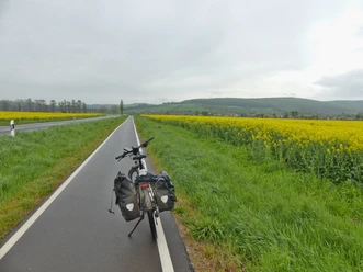 Radweg Richtung Auleben.