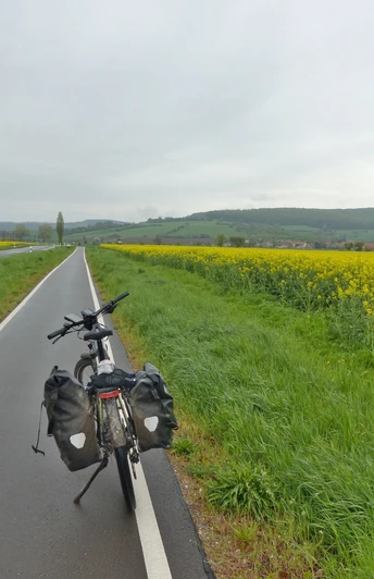 Radweg Richtung Auleben.