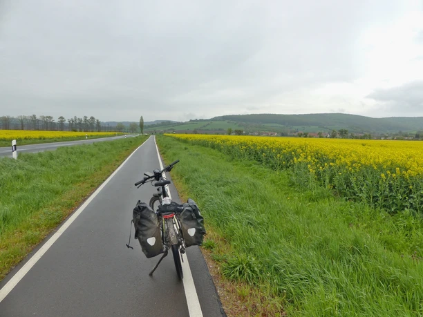 Radweg Richtung Auleben.