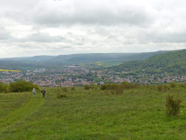Ausblick auf Sondershausen vom Frauenberg.