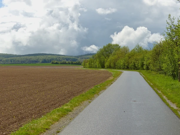 Der Hainich kommt kommt immer näher.