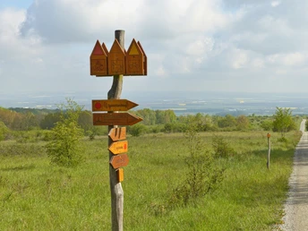 Die Ausschilderung im Nationalpark Hainich,
