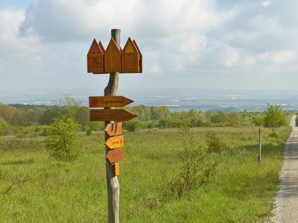 Die Ausschilderung im Nationalpark Hainich,