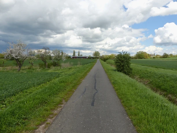 Auf dem Unstrut Radweg bei Artern.