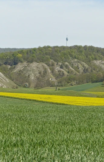 Aussicht auf die Gipskarsthänge des südlichen Kyffhäusergebirges.