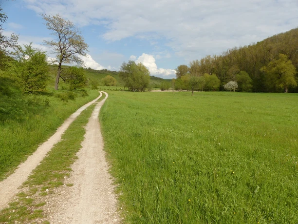 Das Unstruttal bei Nägelstädt.