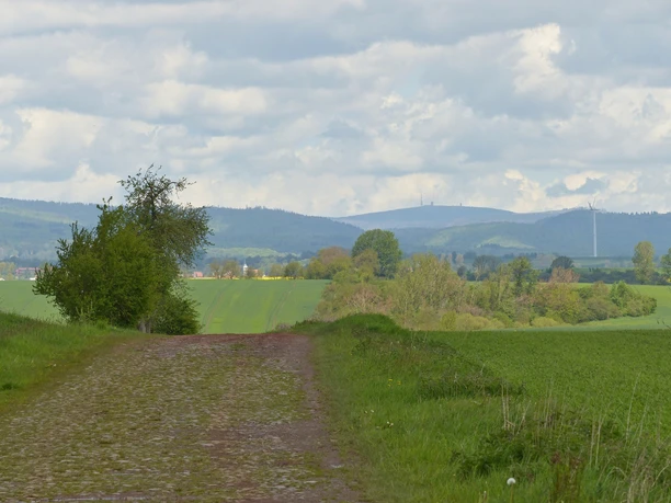 Brockenblick bei Trebra.