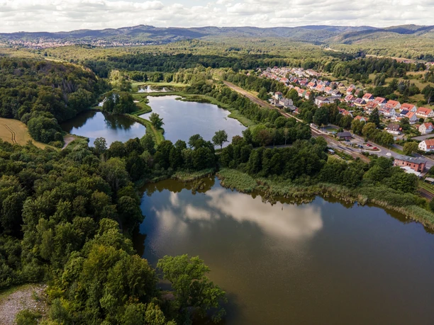 Klosterteiche Walkenried