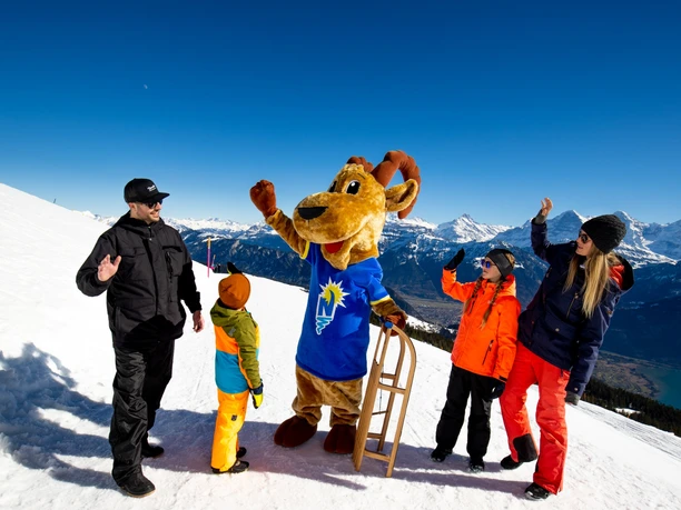 Rocky's winter adventure