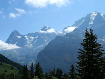 Vue sur l'Eiger, le Mönch et la Jungfrau depuis la Suppenalp.