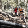 Two downhill bikers on the Heartbeat Trail from Beatenberg to Beatenbucht