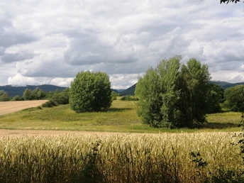 Blick auf die ehemalige Grenze