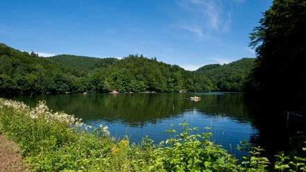 Wiesenbeker Pond