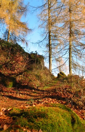 Path to the little horse