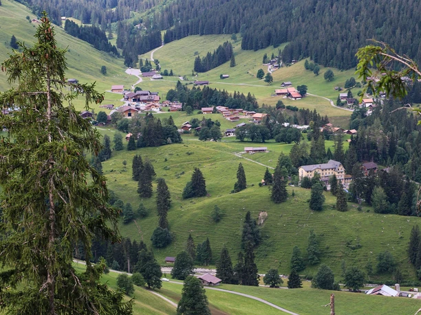 Blick auf die Grimmialp