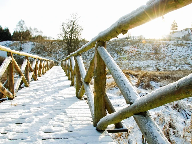 Fußgängerbrücke über das Biotop Mühlteich in Allrode