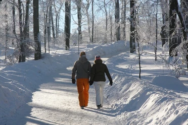 Winterwandern auf dem Hexentanzplatz