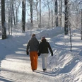 Winterwandern auf dem Hexentanzplatz