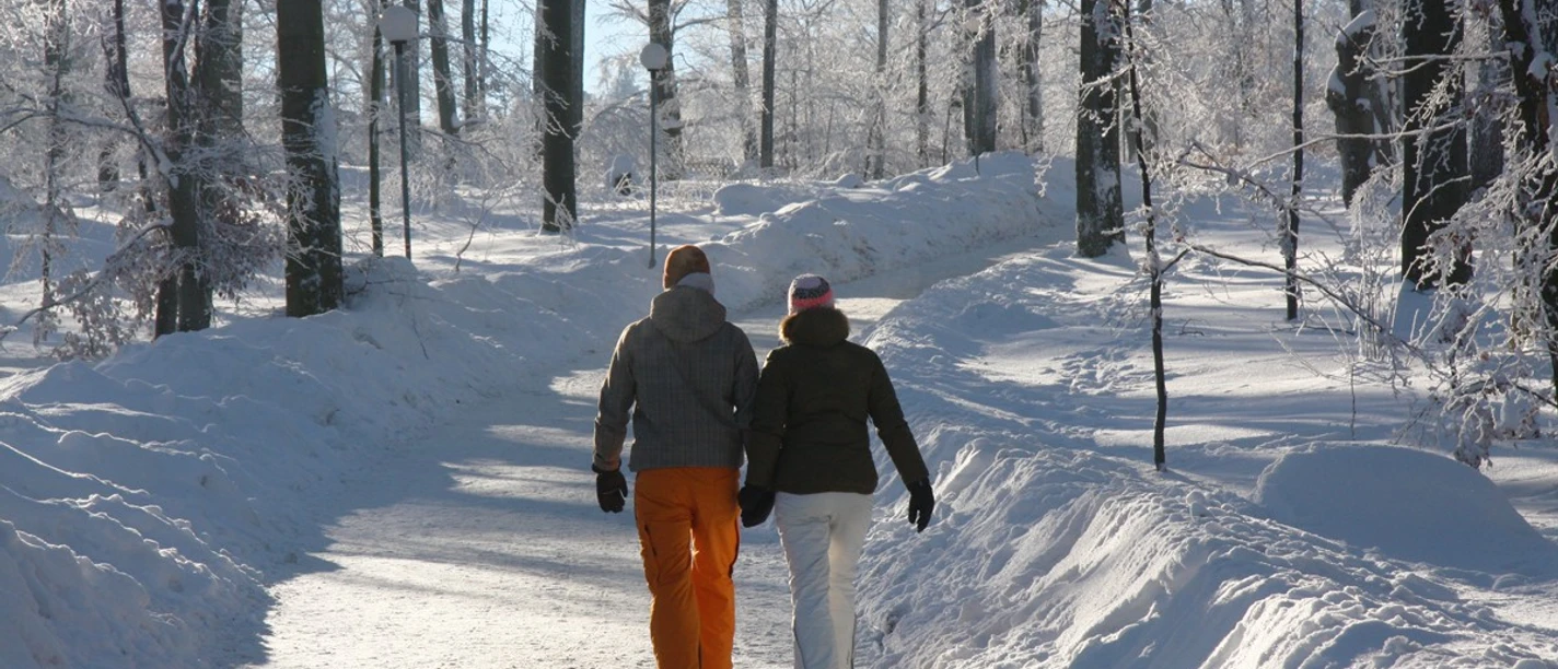 Winterwandern auf dem Hexentanzplatz