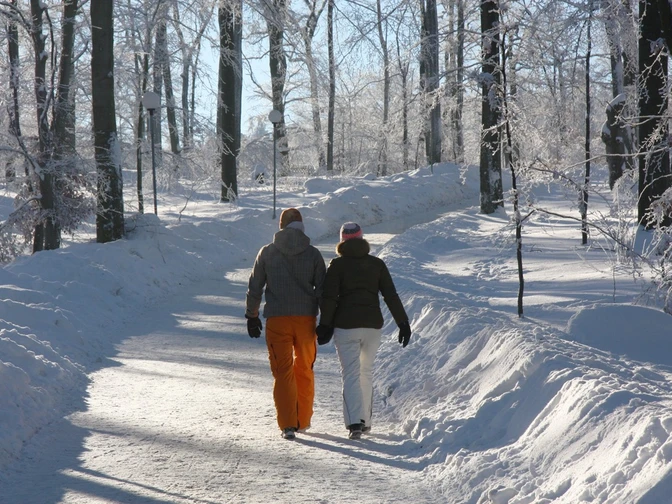 Winterwandern auf dem Hexentanzplatz