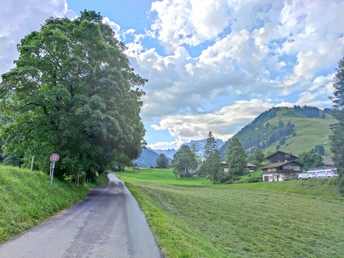 Strasse vom Camping weg