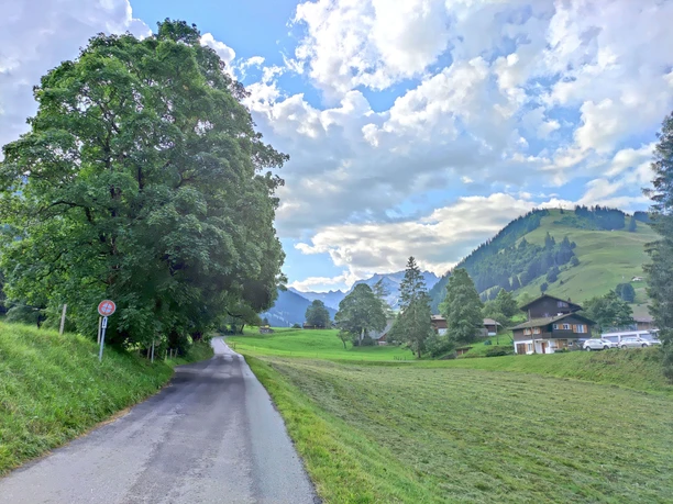 Strasse vom Camping weg