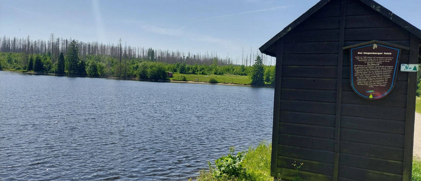 Ziegenberger Teich bei Buntenbock.