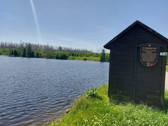 Ziegenberger Teich bei Buntenbock.