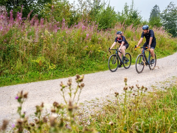 Graveln im Harz
