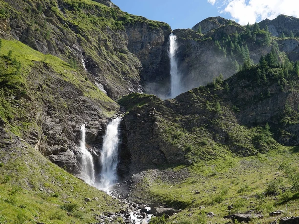 Geltenschuss