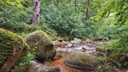 Ilsetal