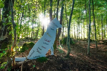 Naturmythenpfad Wolfstation