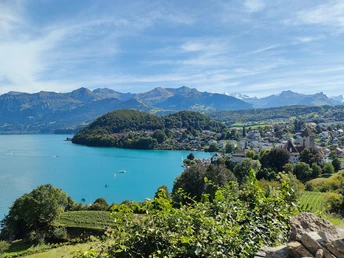 Spiezer Bucht und Schloss Spiez